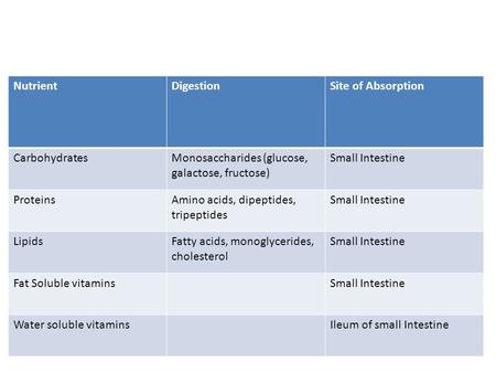 Nutrient Digestion Site of Absorption Carbohydrates