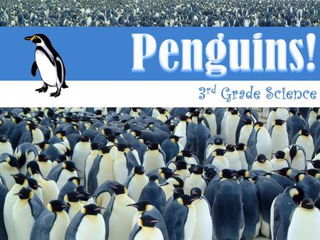 3 rd Grade Science. 112.4. Science, Grade 2 B. (3) Scientific processes. The student knows that information, critical thinking, and scientific problem.