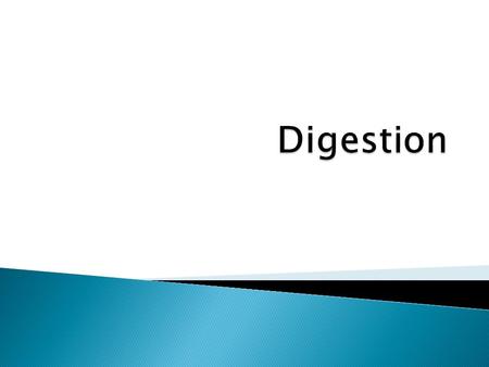 Digestion.