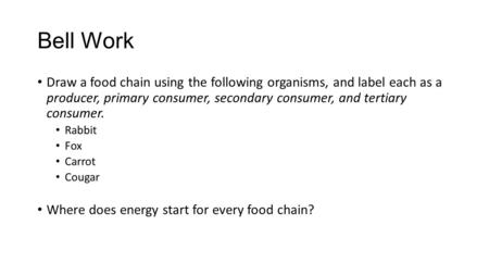 Bell Work Draw a food chain using the following organisms, and label each as a producer, primary consumer, secondary consumer, and tertiary consumer.