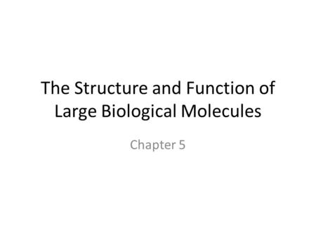 The Structure and Function of Large Biological Molecules Chapter 5.