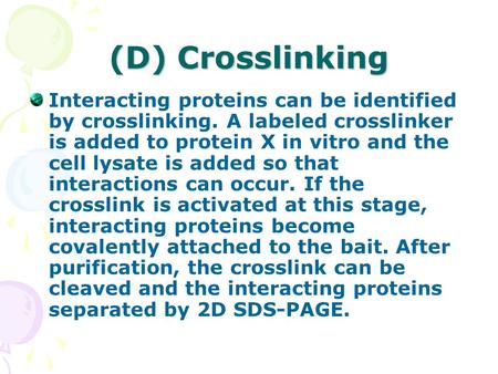 (D) Crosslinking Interacting proteins can be identified by crosslinking. A labeled crosslinker is added to protein X in vitro and the cell lysate is added.