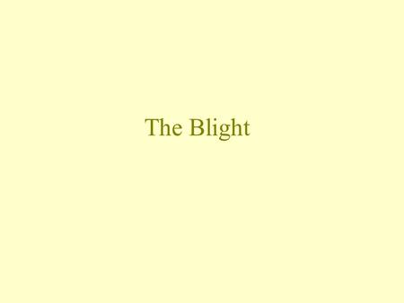 The Blight. Student Objectives Friday, September 18, 2015 After today’s lesson, you will be able to: Identify and describe what happened to the American.