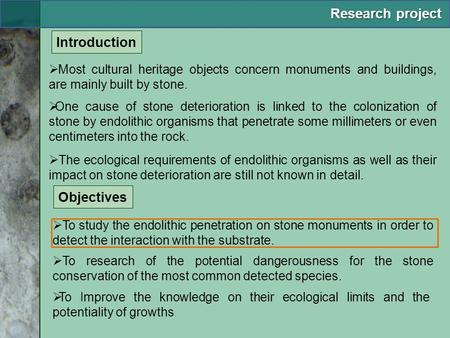  Most cultural heritage objects concern monuments and buildings, are mainly built by stone.  The ecological requirements of endolithic organisms as well.