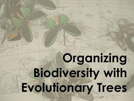 Organizing Biodiversity with Evolutionary Trees