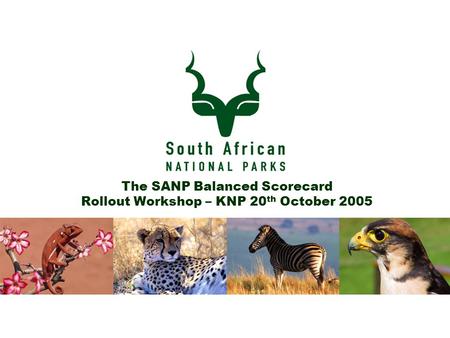 The SANP Balanced Scorecard Rollout Workshop – KNP 20 th October 2005.