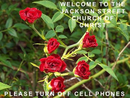 WELCOME TO THE JACKSON STREET CHURCH OF CHRIST PLEASE TURN OFF CELL PHONES.