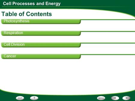 Cell Processes and Energy Photosynthesis Respiration Cell Division Cancer Table of Contents.