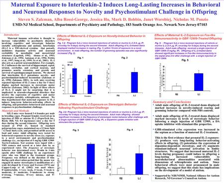 Fig. 3-4 Fig. 3-4: Pregnant SJL/J mice received injections of vehicle or murine IL-2 (0.4  g, IP; once/day for 5-days) during the second trimester. Adult.