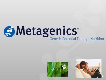 1. 2 METAGENICS : Partner of ALTICORE Group of Companies ALTICOR Group of Companies Holding entity for diverse group of companies Present in more than.