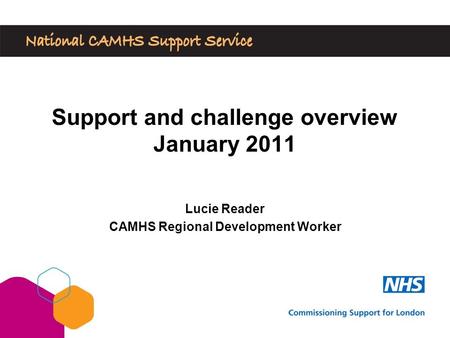 Lucie Reader CAMHS Regional Development Worker Support and challenge overview January 2011.