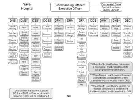 NH1 DNSDMS*DSS*DCSSDPH**DRMDFADMH***DHB^DDSDBC Commanding Officer/ Executive Officer Med IP Nursing Crit Care Nursing Internal Medicine Optometry MOR Opthamol.