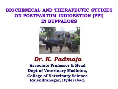 Dr. K. Padmaja Associate Professor & Head Dept of Veterinary Medicine,