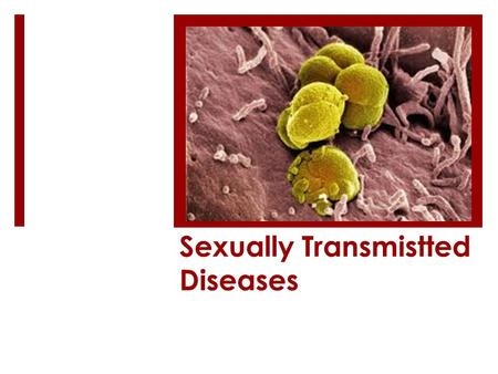 Sexually Transmistted Diseases