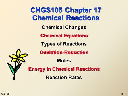 5 - 1GS105 CHGS105 Chapter 17 Chemical Reactions Chemical Changes Chemical Equations Types of Reactions Oxidation-ReductionMoles Energy in Chemical Reactions.