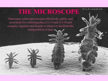 THE MICROSCOPE Outcomes: select microscopes effectively, safely, and accurately for collecting data (213-3 and 213-8) and compile, organize and display.