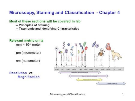 Microscopy and Classification