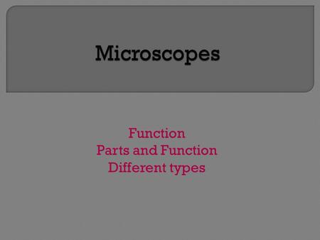 Function Parts and Function Different types. Scale 2.