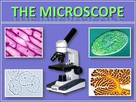 THE MICROSCOPE.