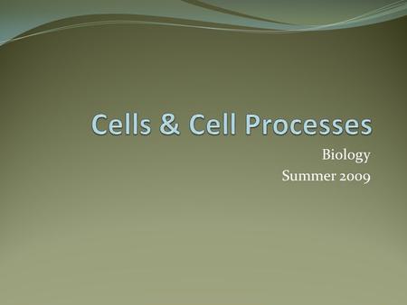 Biology Summer 2009. Read page 41 and answer the following questions. Your body is made of trillions of cells. Cell – the smallest unit that can carry.