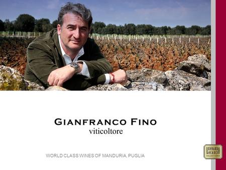 WORLD CLASS WINES OF MANDURIA, PUGLIA. A DEEP PASSION FOR QUALITY Since 2004, Gianfranco Fino’s focus has been about quality NO COMPROMISES, NO SHORT-CUTS,