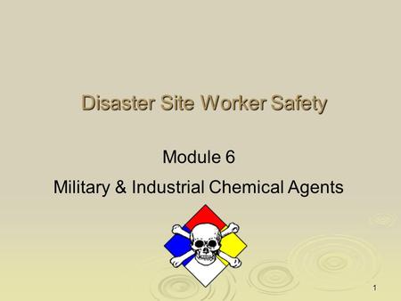 Disaster Site Worker Safety