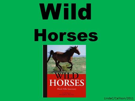 Wild Horses LindaC/Callison/2011. Other books by Chris Peterson... and more.