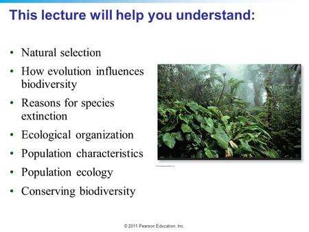 This lecture will help you understand: