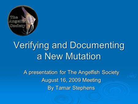 Verifying and Documenting a New Mutation A presentation for The Angelfish Society August 16, 2009 Meeting By Tamar Stephens.