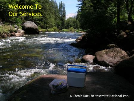 A Picnic Rock in Yosemite National Park Welcome To Our Services.