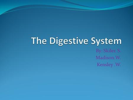 By: Skiler. S. Madison.W. Kensley.W.. Digestive Diagram.