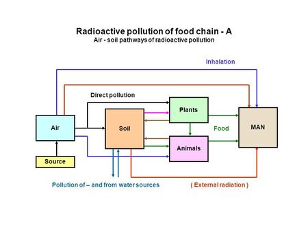 Radioactive pollution of food chain - Α Air - soil pathways of radioactive pollution Source Inhalation ( External radiation ) Direct pollution Food Air.