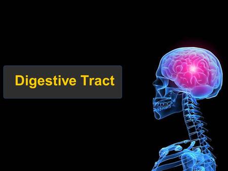 Digestive Tract. Some Definitions Enzymes-proteins that help control a biochemical reaction Gland-an organ that produces specific enzymes or hormones.