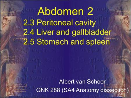 2.3 Peritoneal cavity 2.4 Liver and gallbladder 2.5 Stomach and spleen