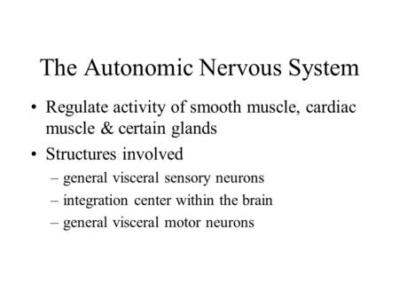 The Autonomic Nervous System