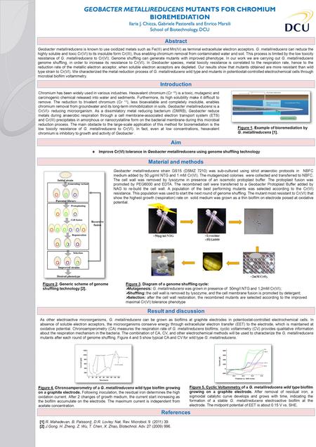 GEOBACTER METALLIREDUCENS MUTANTS FOR CHROMIUM BIOREMEDIATION Ilaria J. Chicca, Gabriele Pastorella and Enrico Marsili School of Biotechnology, DCU GEOBACTER.