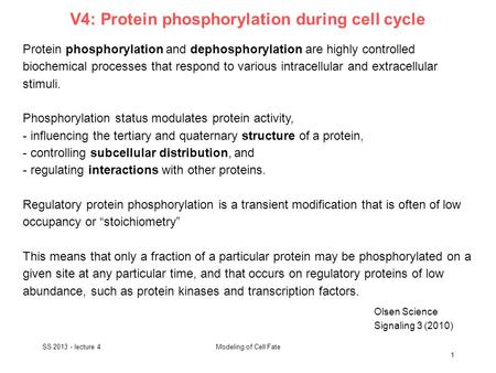 V4: Protein phosphorylation during cell cycle Olsen Science Signaling 3 (2010) Protein phosphorylation and dephosphorylation are highly controlled biochemical.