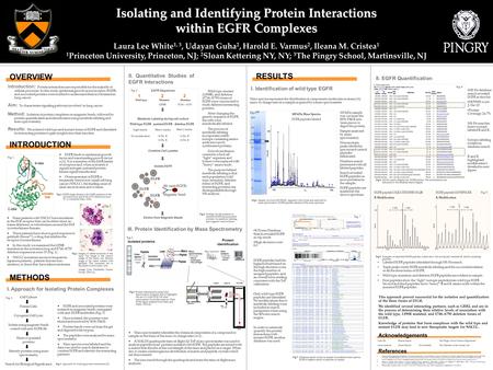 OVERVIEW INTRODUCTION METHODS This approach proved successful for the isolation and quantification of the three forms of EFGR. We identified several interacting.