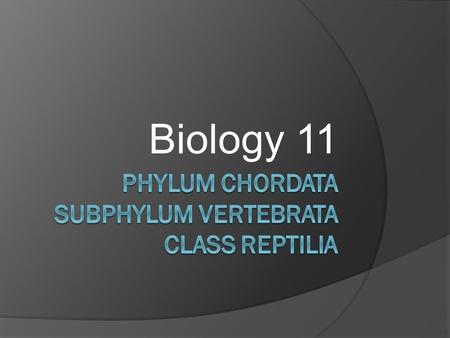 Biology 11. Class Reptilia  Evolved from the amphibians and soon displaced them  Were much better adapted to land.