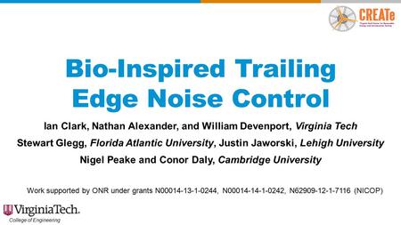 Bio-Inspired Trailing Edge Noise Control