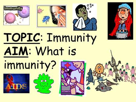 TOPIC: Immunity AIM: What is immunity?. Topic: Immunity Aim: How does the immune system fight disease? Do Now: How do antibodies help to protect the body?