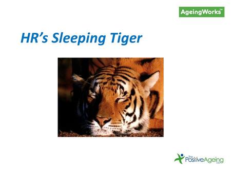 HR’s Sleeping Tiger. The impact of our ageing society on your workforce (and bottom line)