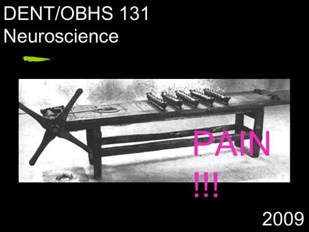 PAIN !!! DENT/OBHS 131 Neuroscience 2009. Pain…. Is a submodality of somatosensation Is the perception of unpleasant or aversive stimulation (sensory.