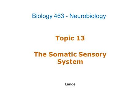 Topic 13 The Somatic Sensory System Lange Biology 463 - Neurobiology.