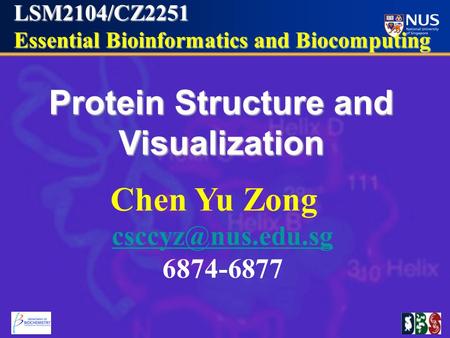 LSM2104/CZ2251 Essential Bioinformatics and Biocomputing Essential Bioinformatics and Biocomputing Protein Structure and Visualization Chen Yu Zong