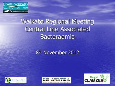 Waikato Regional Meeting Central Line Associated Bacteraemia 8 th November 2012.