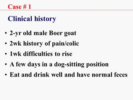 Case # 1 Clinical history 2-yr old male Boer goat 2wk history of pain/colic 1wk difficulties to rise A few days in a dog-sitting position Eat and drink.