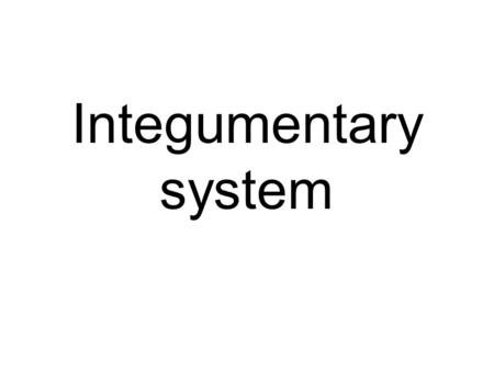 Integumentary system. Organization – Skin Epidermis Dermis – Accessory Structures Hair & Hair follicles Exocrine glands Arrector pili Sensory Receptors.