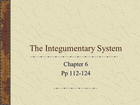 The Integumentary System