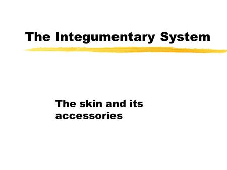 The Integumentary System The skin and its accessories.